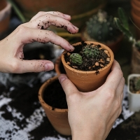 El Museo Itinerante de Medio Ambiente comienza su temporada en Valdecaballeros