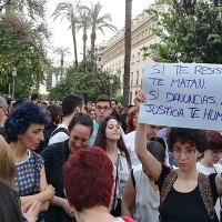 Manifestación en Mérida en repulsa a la violencia machista