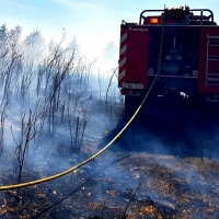 Un incendio quema 30 hectáreas entre Fregenal y Bodonal (BA)
