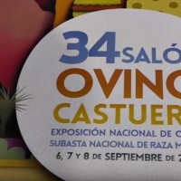 Llega a Castuera la XXXIV edición del Salón Ovino