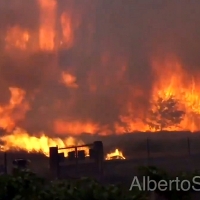 800 hectáreas calcinadas en los incendios de Galicia