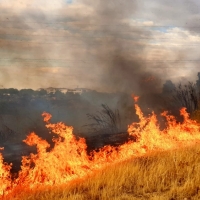 El viento dificulta la extinción de un incendio en Las Vaguadas (Badajoz)