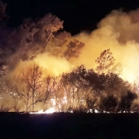 Detienen a 38 personas por su implicación en los incendios de Extremadura