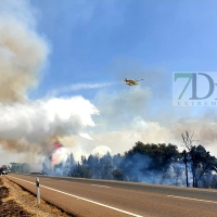 Un incendio afecta a la N.432 en la salida de Badajoz