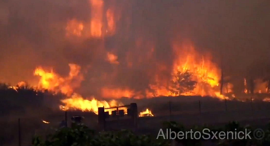 800 hectáreas calcinadas en los incendios de Galicia