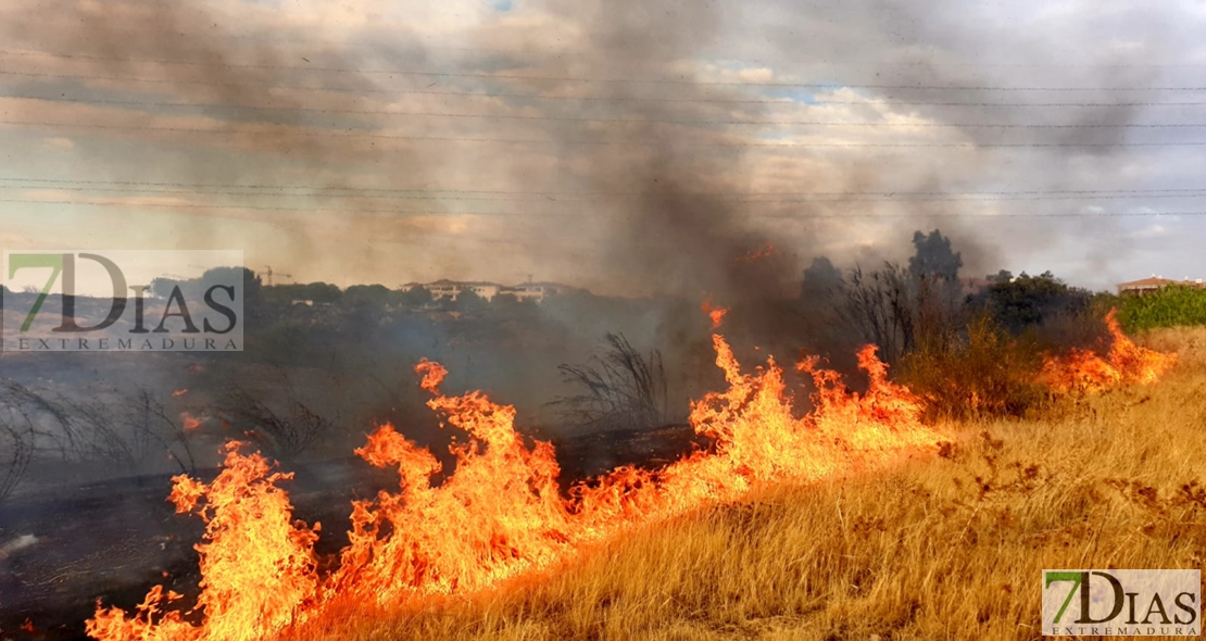 El viento dificulta la extinción de un incendio en Las Vaguadas (Badajoz)
