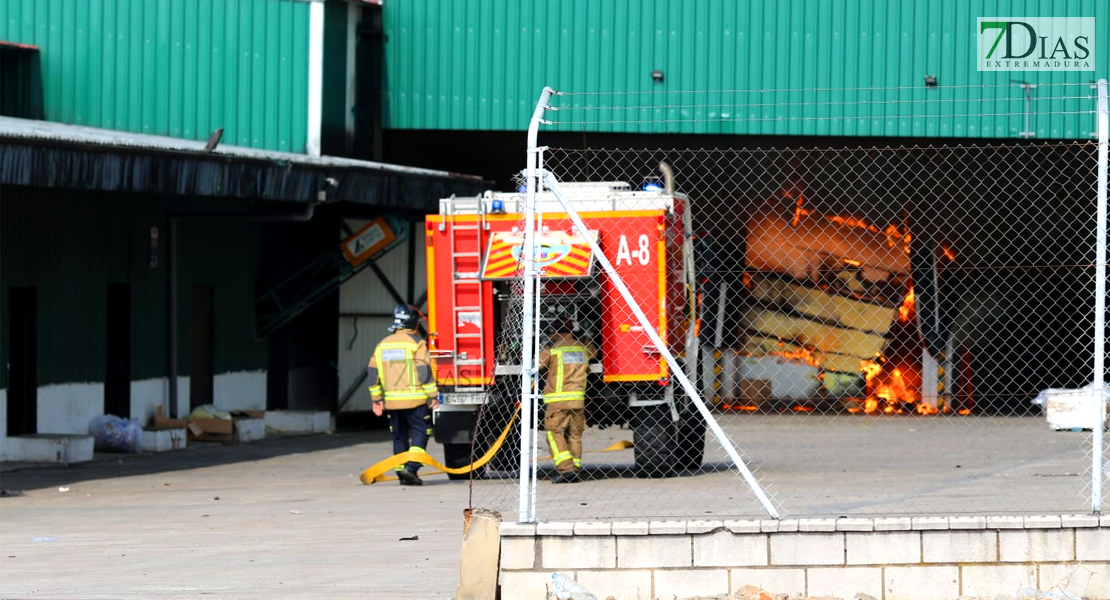 Imágenes del grave incendio en la Panificadora