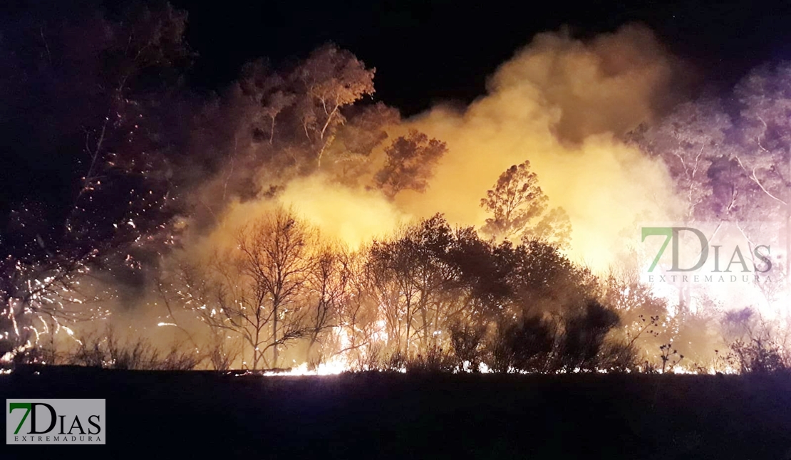 Detienen a 38 personas por su implicación en los incendios de Extremadura