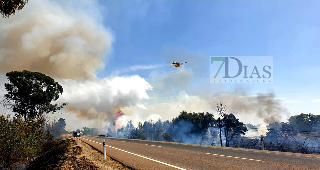 Un incendio afecta a la N.432 en la salida de Badajoz