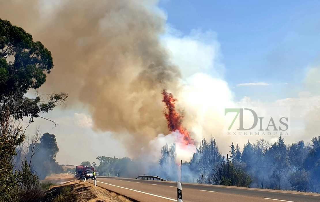 Imágenes del incendio en la Nacional 432 (Badajoz)