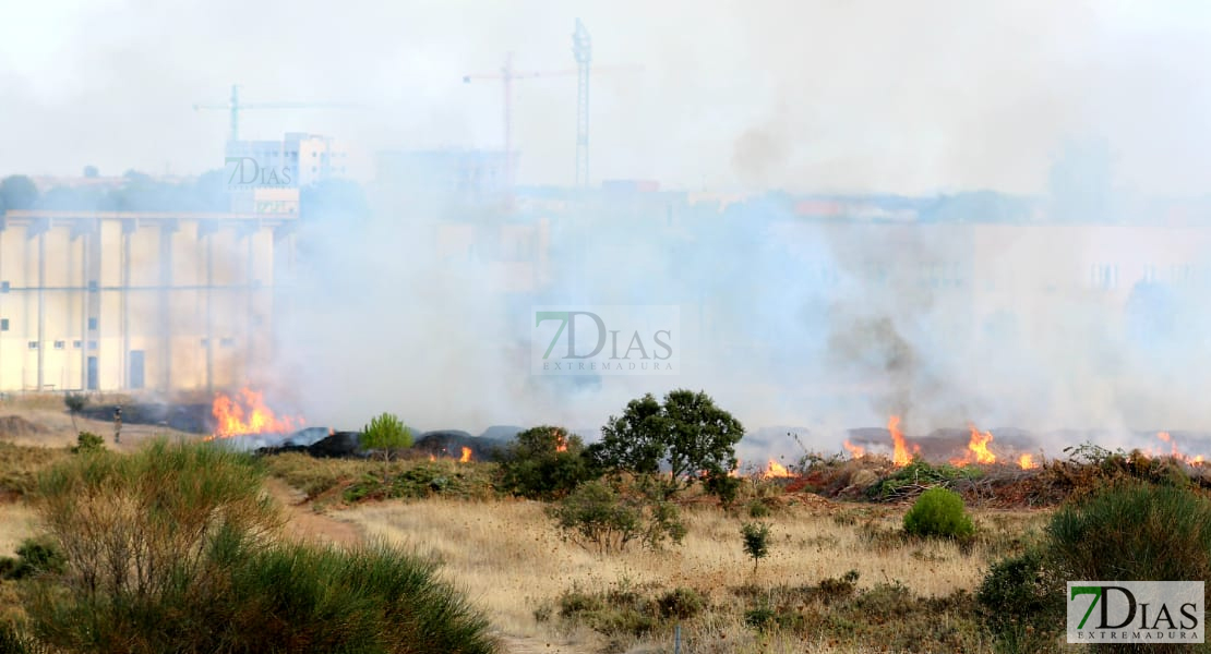 Los bomberos de Badajoz actúan en un incendio cercano a la autovía A-5