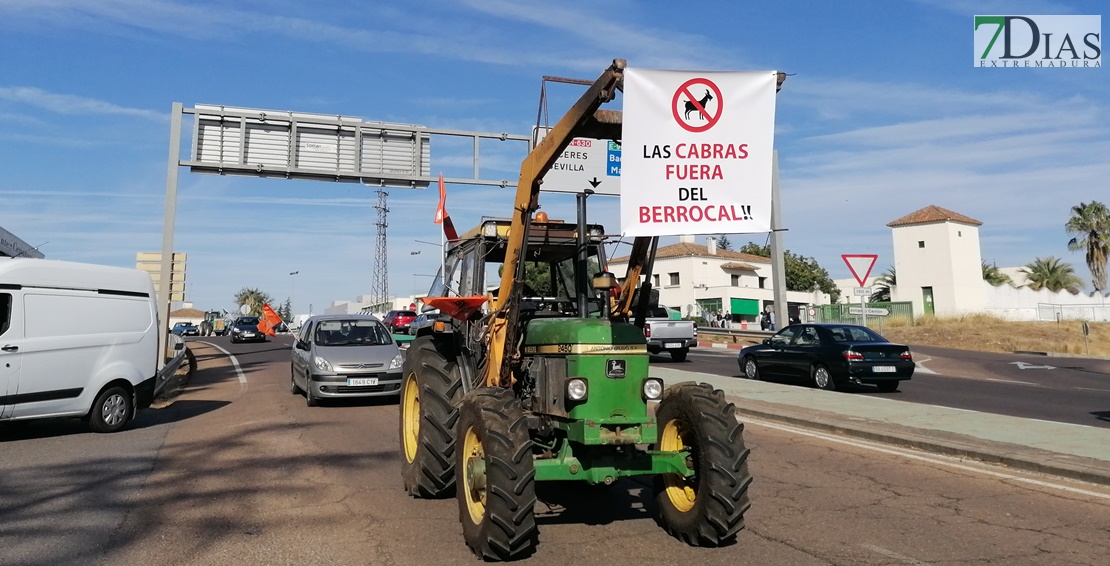 Una tractorada contra las cabras