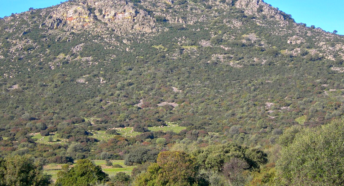 Trasladado al hospital tras precipitarse en la Sierra de San Serván