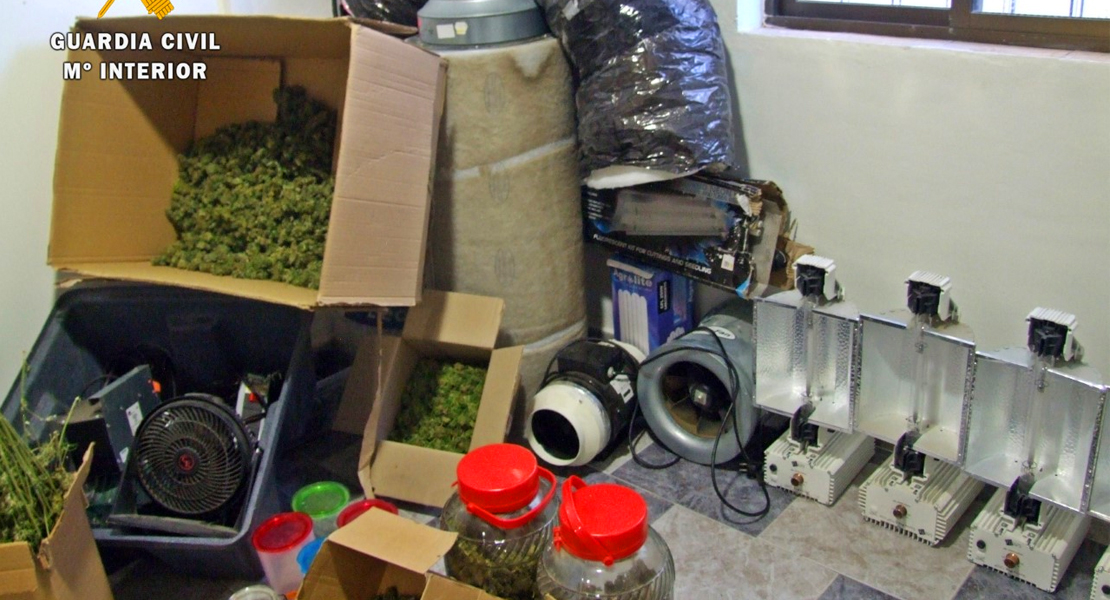 Cuatro nuevos detenidos en Extremadura por cultivo y elaboración de drogas