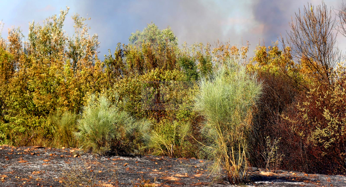 Dos incendios afectan a Valdebótoa y Gévora este domingo