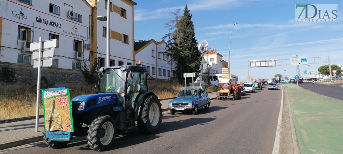 Una tractorada contra las cabras