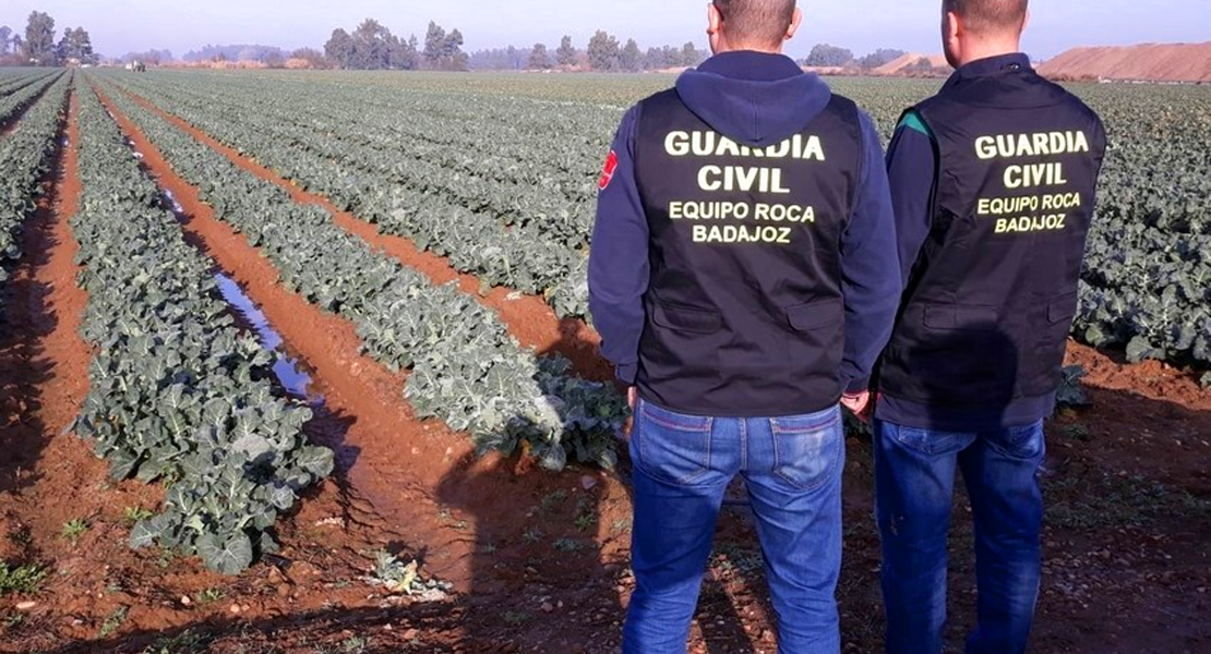 Investigados dos pacenses por el robo en explotaciones agrícolas de Badajoz, La Albuera y Talavera
