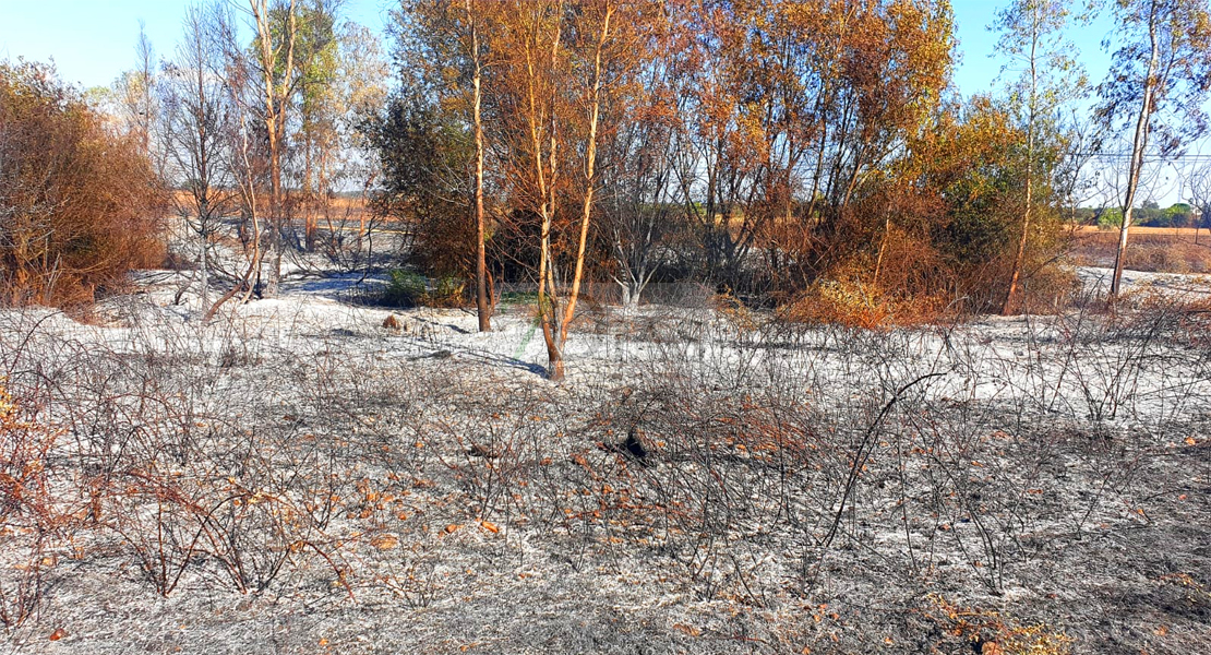 Dos incendios afectan a Valdebótoa y Gévora este domingo