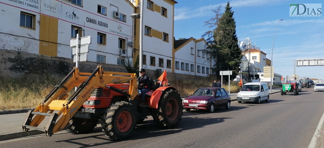 Una tractorada contra las cabras