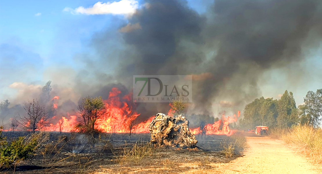 Dos incendios afectan a Valdebótoa y Gévora este domingo