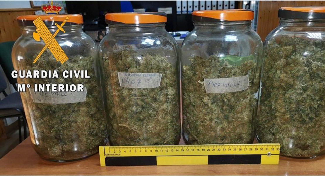 La Guardia Civil descubre 338 plantas y 1.721 gramos de cogollos de marihuana en Cáceres