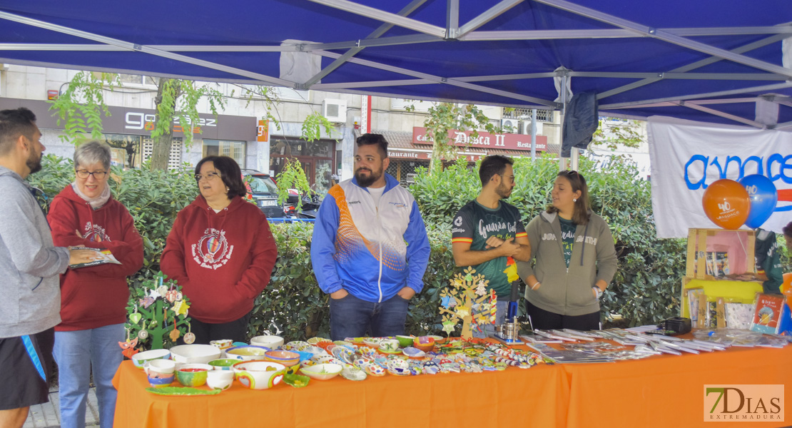 Imágenes del IV Cross Popular Solidario Virgen del Pilar I