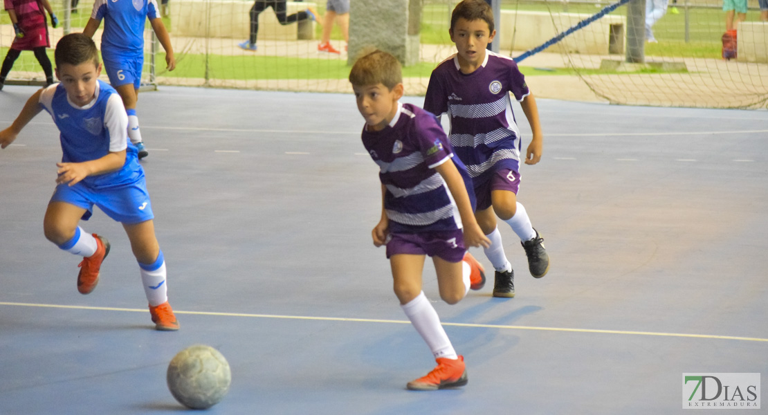 GALERÍA- Torneo de Fútbol Infantil