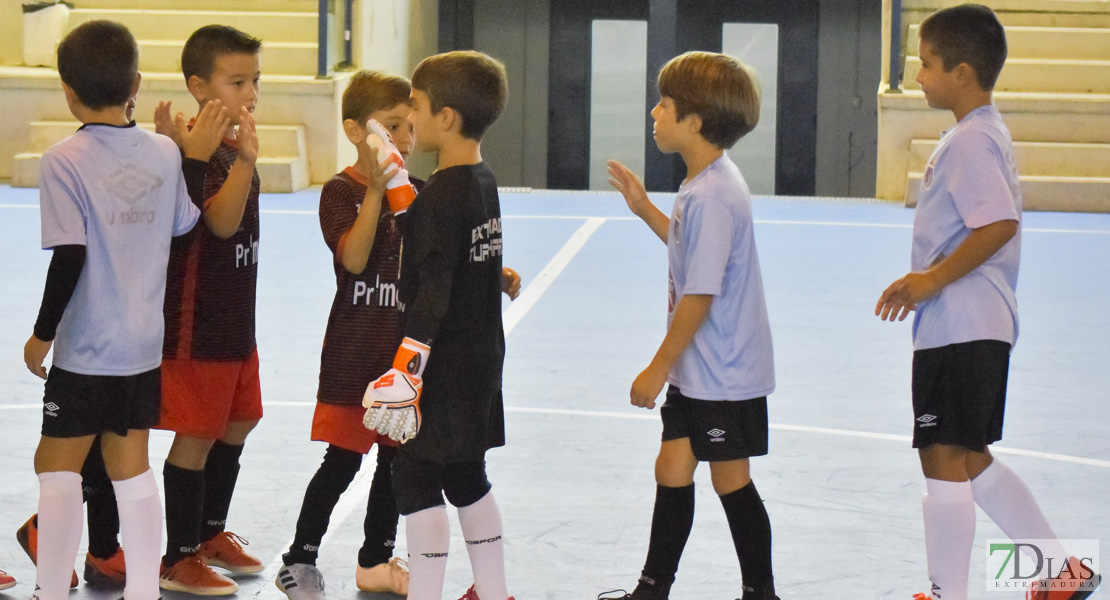 GALERÍA- Torneo de Fútbol Infantil