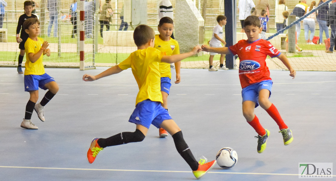 GALERÍA- Torneo de Fútbol Infantil