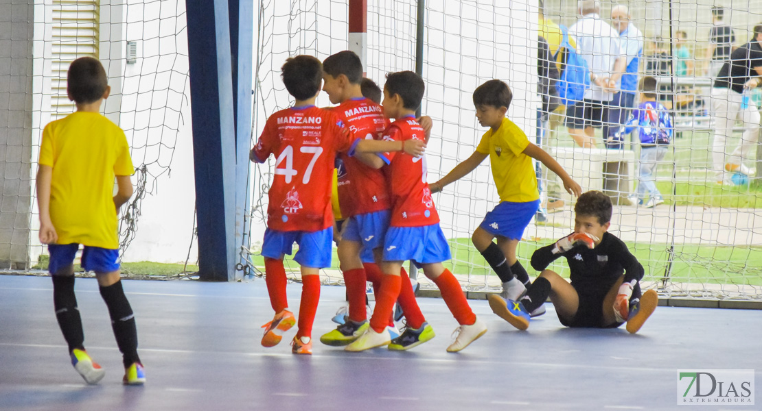 GALERÍA- Torneo de Fútbol Infantil