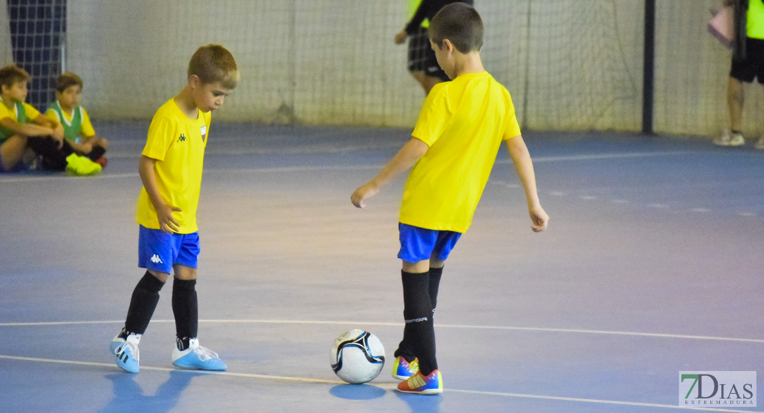 GALERÍA- Torneo de Fútbol Infantil