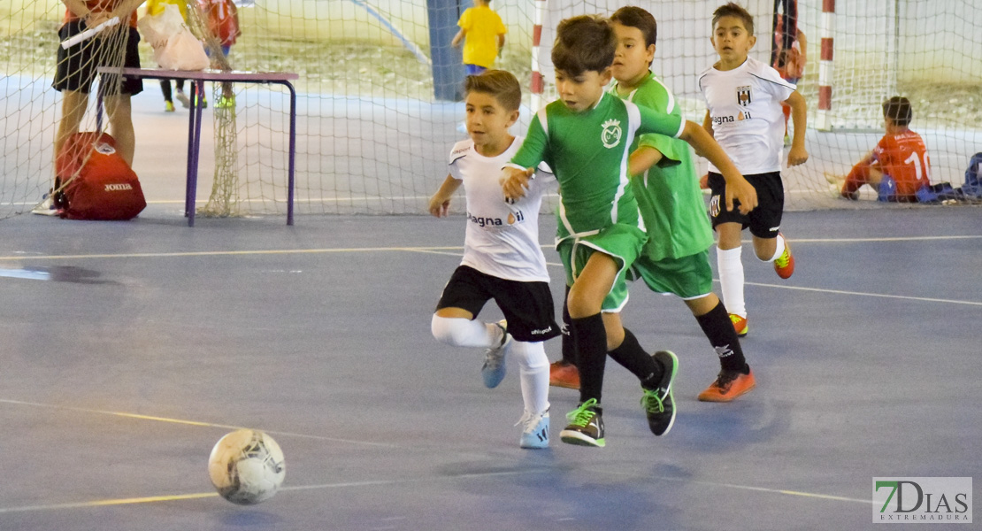 GALERÍA- Torneo de Fútbol Infantil