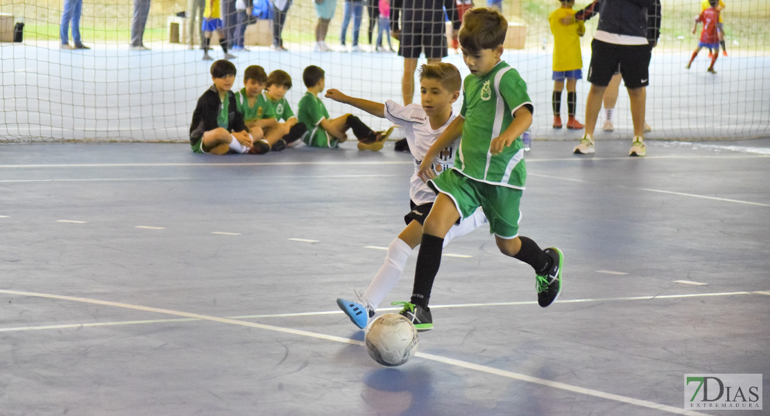 GALERÍA- Torneo de Fútbol Infantil