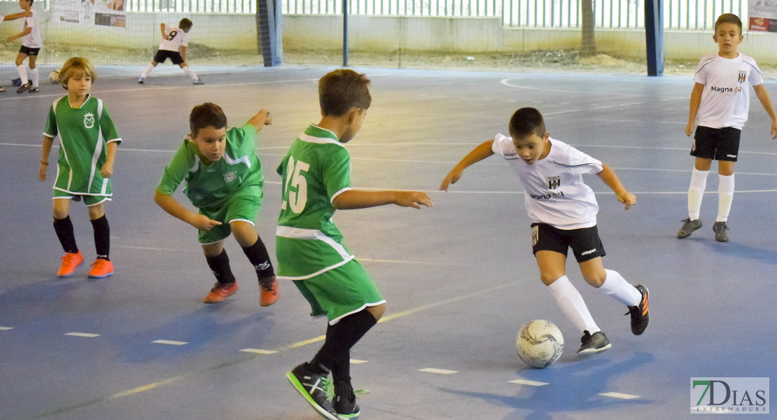 GALERÍA- Torneo de Fútbol Infantil