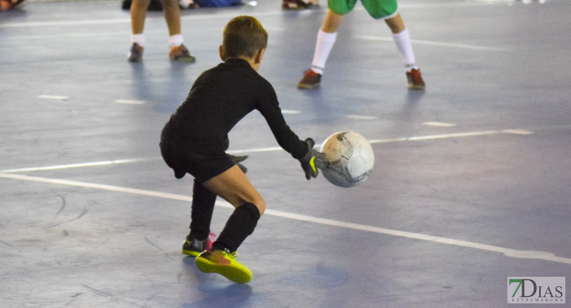 GALERÍA- Torneo de Fútbol Infantil