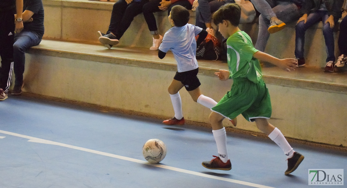 GALERÍA- Torneo de Fútbol Infantil