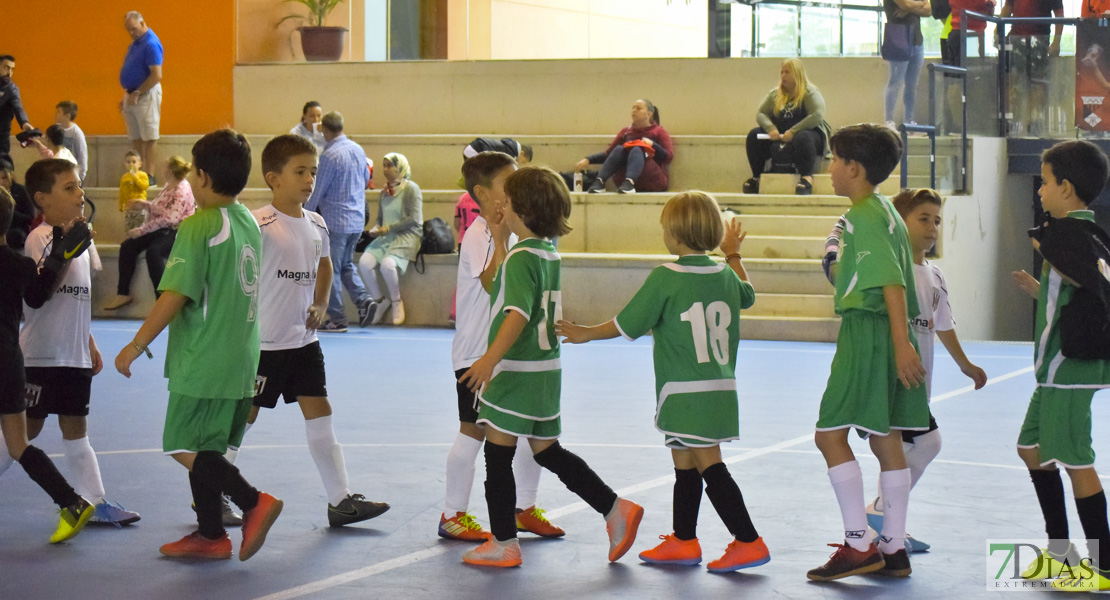 GALERÍA- Torneo de Fútbol Infantil