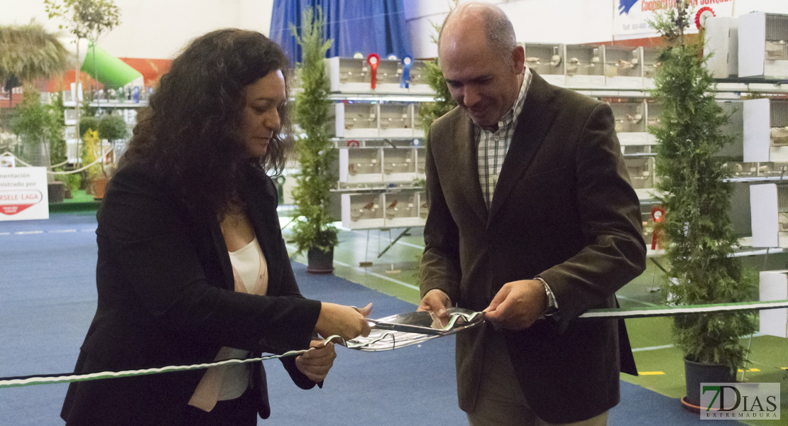 GALERÍA - IV Internacional del Oeste &#39;Ciudad de Alburquerque&#39;