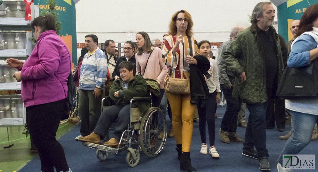 GALERÍA - IV Internacional del Oeste &#39;Ciudad de Alburquerque&#39;