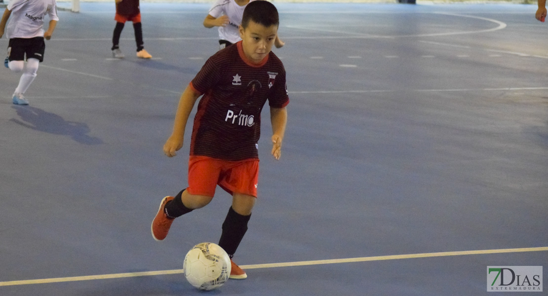 GALERÍA- Torneo de Fútbol Infantil