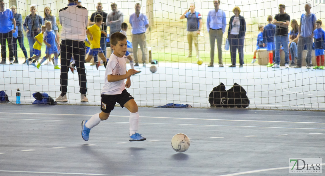 GALERÍA- Torneo de Fútbol Infantil