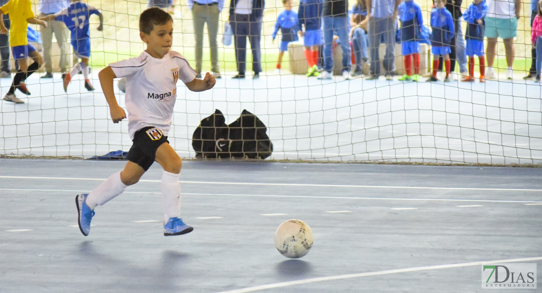 GALERÍA- Torneo de Fútbol Infantil