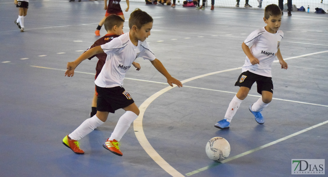 GALERÍA- Torneo de Fútbol Infantil