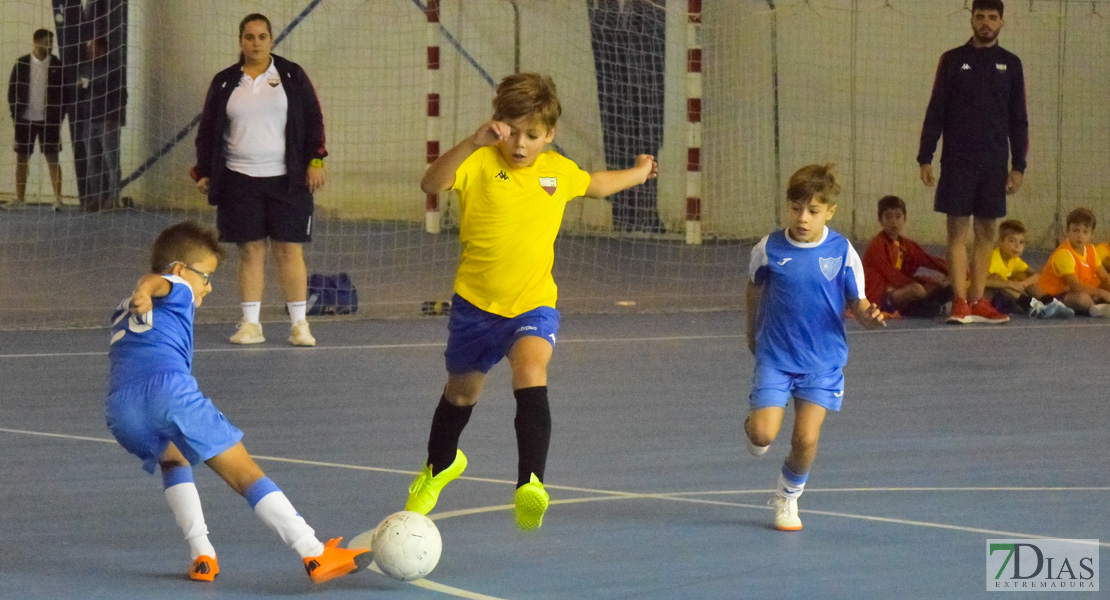 GALERÍA- Torneo de Fútbol Infantil