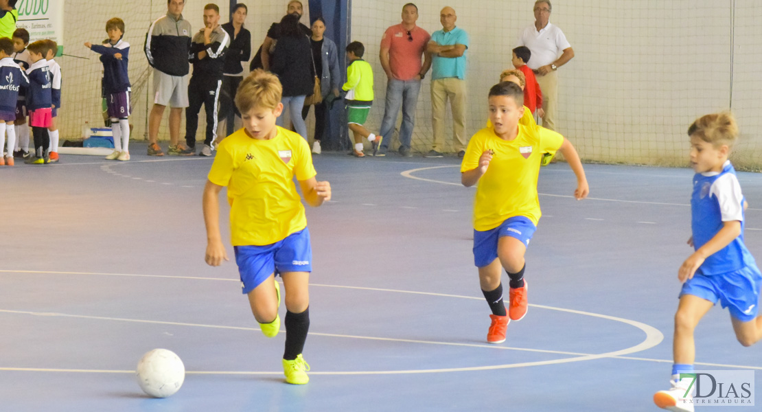 GALERÍA- Torneo de Fútbol Infantil