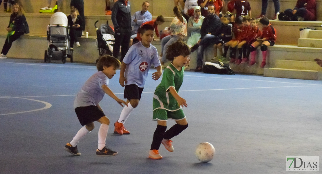 GALERÍA- Torneo de Fútbol Infantil