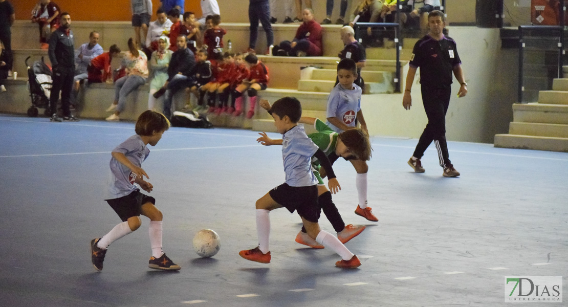 GALERÍA- Torneo de Fútbol Infantil