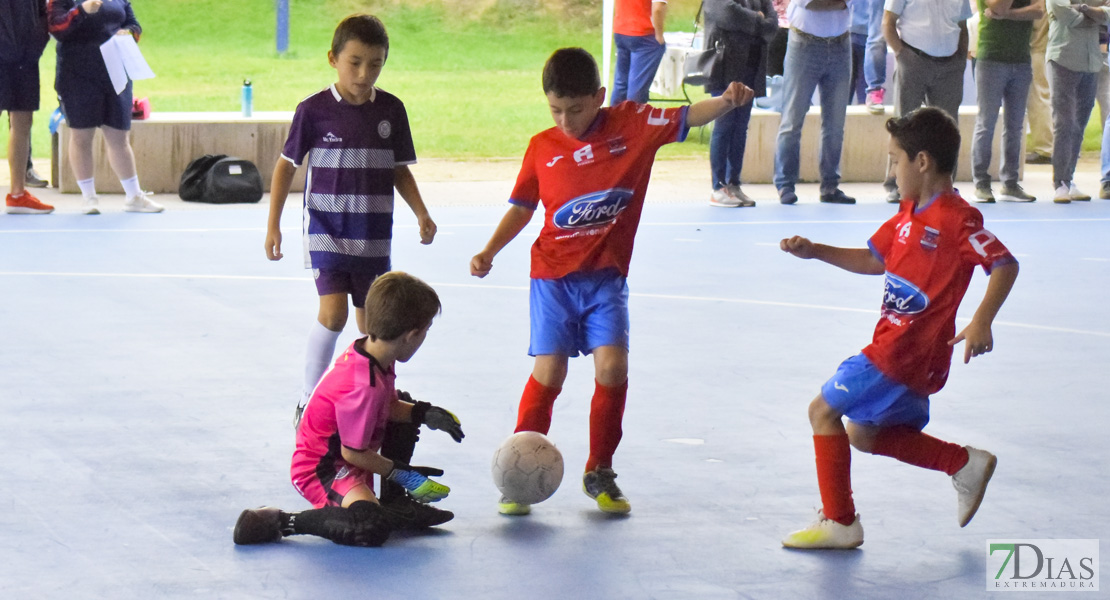 GALERÍA- Torneo de Fútbol Infantil