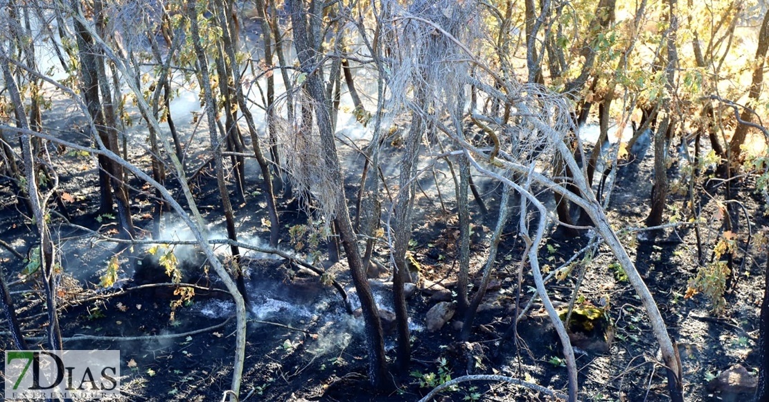 Emplean tres horas en extinguir un incendio en Valencia de Alcántara