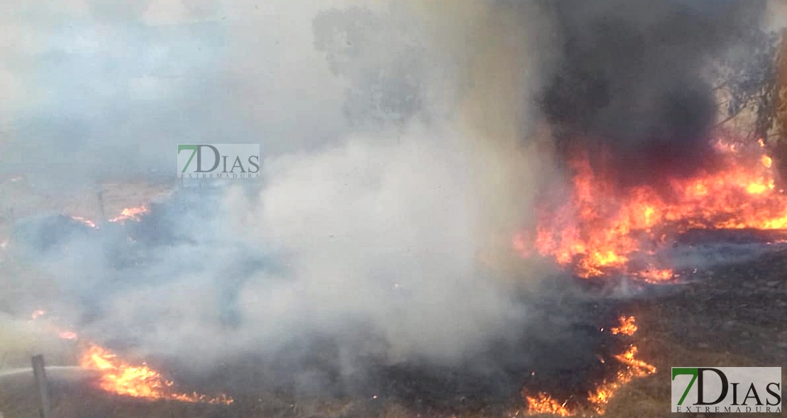 Los bomberos trabajaron ayer en 6 incendios en Extremadura